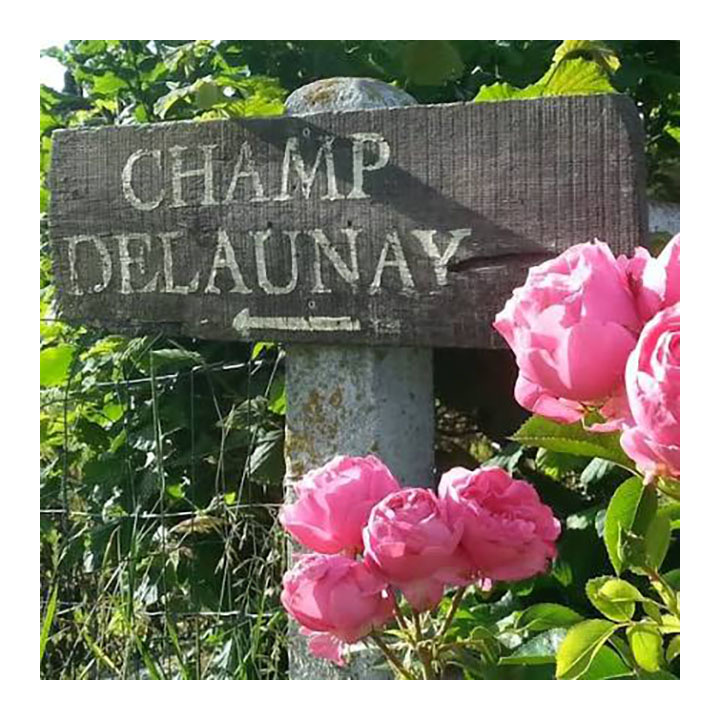 Panneau en bois « Champ Delaunay » entouré de roses